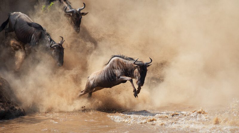 Impressie Rondreis Kenia en Tanzania - Internationale Groepsreis 2024 2024