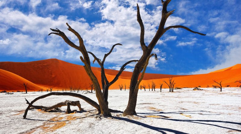 Impressie Rondreis Zuid-Afrika