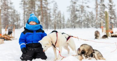 Impressie Familiereis Finland: Lapland - Winters noorden 2024