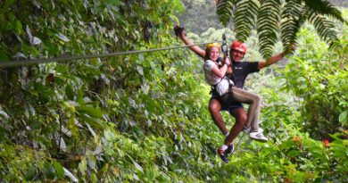 Impressie Familiereis Costa rica Natuur en Strand - Felgekleurde gifkikkers 2024