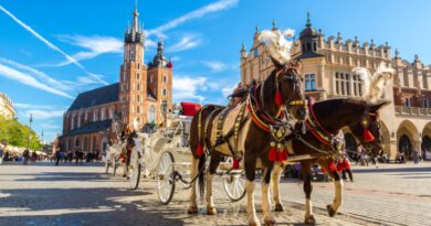 Impressie Rondreis Polen hoogtepunten - Het land van duizend meren 2024