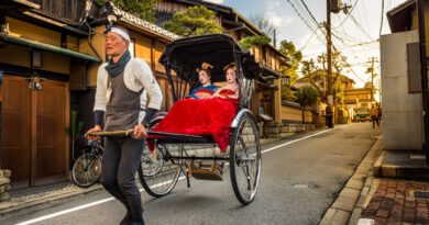 Impressie Familiereis Japan - Het land van de rijzende zon 2024